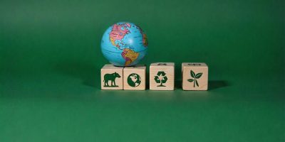 freepik__a-globe-and-four-wooden-blocks-with-ecological-sym__47668